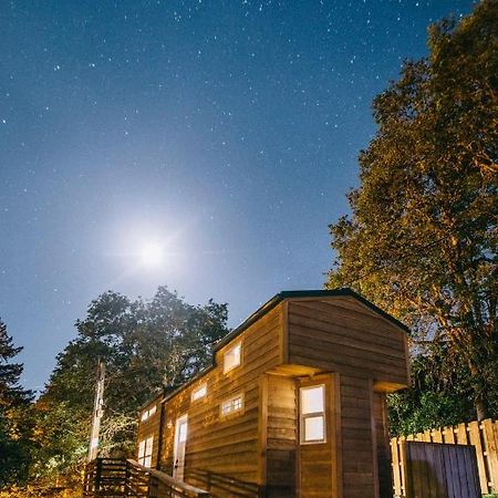 Umpqua'S Last Resort - Wilderness Cabins, Rv Park & Glamping Idleyld Park Екстериор снимка