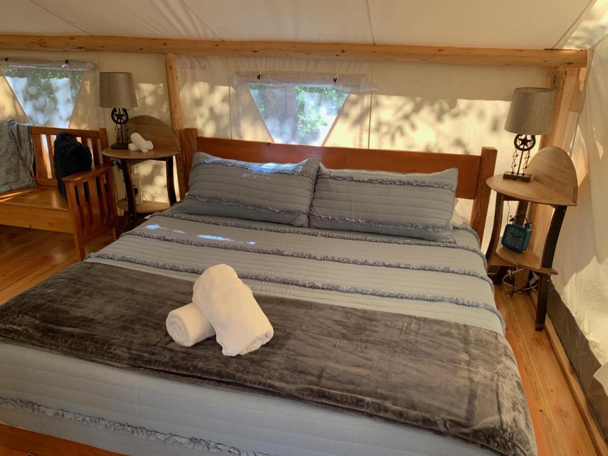 Umpqua'S Last Resort - Wilderness Cabins, Rv Park & Glamping Idleyld Park Екстериор снимка